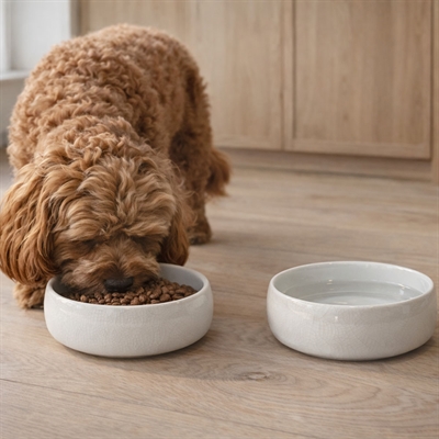 Keramikskål till hunden